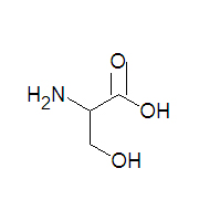 Serine stickfigure DEVolk.jpg