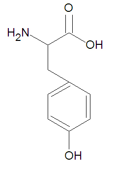 Tyrosine stick figure.jpg