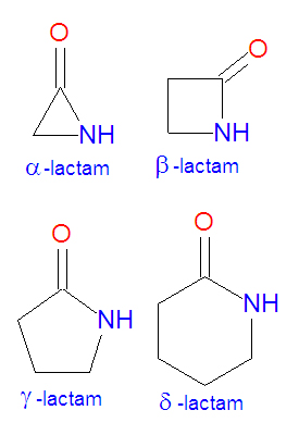 Lactams.jpg