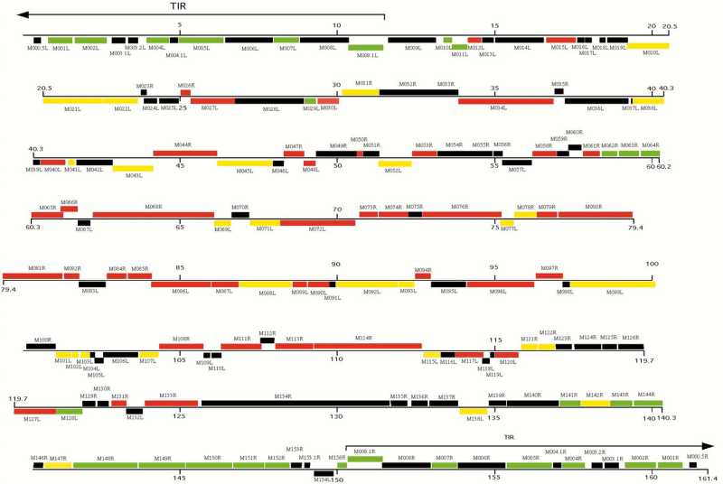 Myxoma Genome.jpg