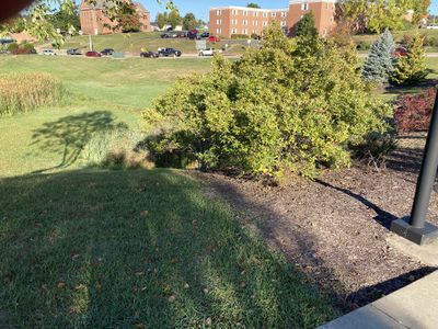 Traffic on Pattison Drive is some of the heaviest in town. Before this bioretention pond was competed, the intersection to the upper left of the picture was routinely flooded during heavy rains.