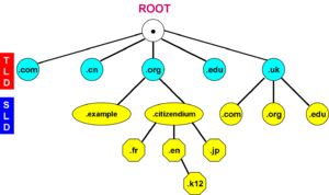 Domain Tree.png