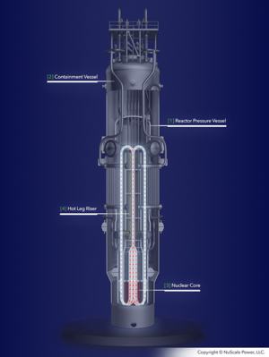 Nuscale-module.png