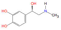 Epinephrine.jpg