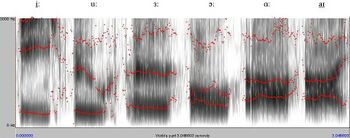 Vowels-spectrogram-british-english-adult-male.jpg