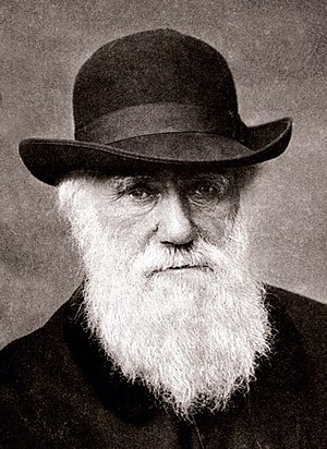 Charles Darwin 1880.jpg