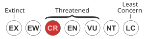 Status iucn3.1 CR.svg