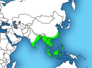 Ophiophagus hannah distribution.jpg