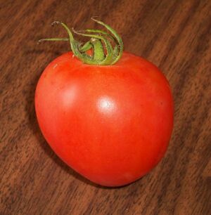 TomatoMitchellBeefsteak.jpg