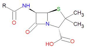 Penicillin core structure.jpg