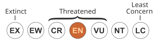 Status iucn3.1 EN.svg