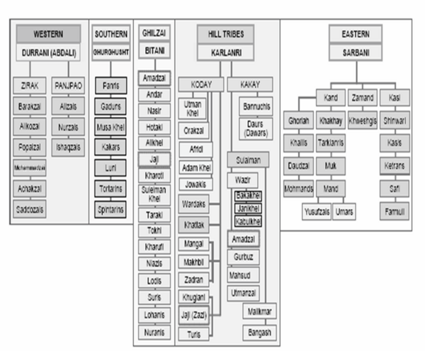 Pashtun tribal structure[8]