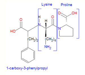 Lisinopril5.png