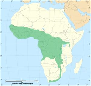 Naja melanoleuca distribution.jpg