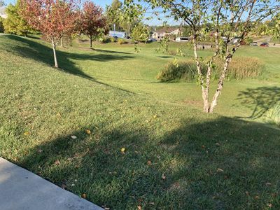 Shown is part of the south edge of the Chambers Park bioretention pond with an incorporated rain garden center right.