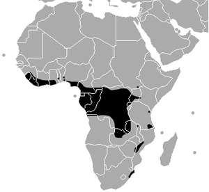 Bitis-gabonica-range-map.png