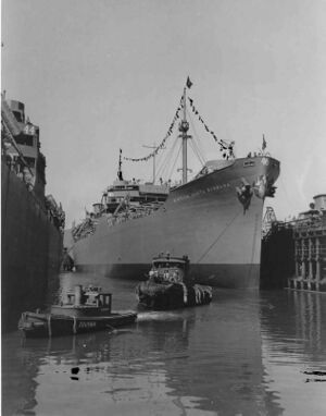 USNS Mission Santa Barbara.jpg